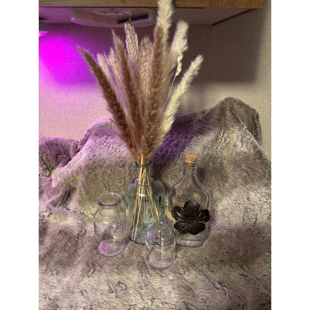 4 Piece Clear Glass‎ Decorative Bottle Set with Pampas Grass Rustic Decor